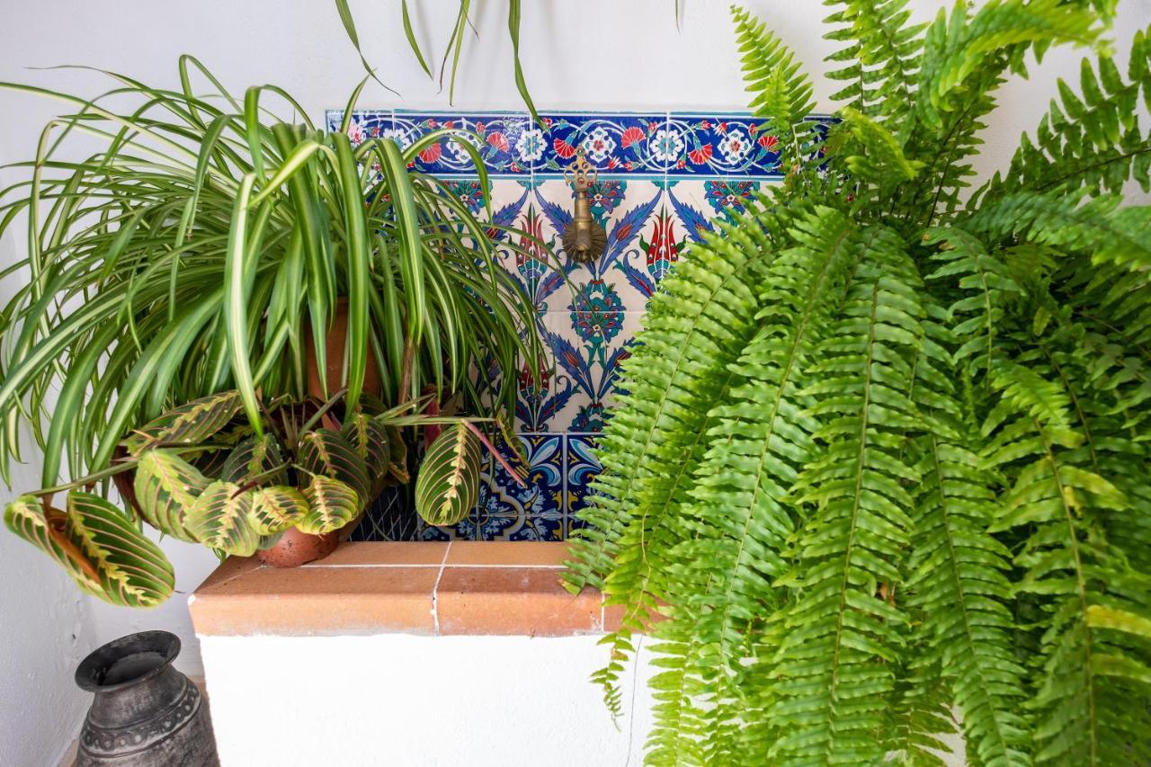 La Casa Del Agua Villa Vejer de la Frontera Kültér fotó